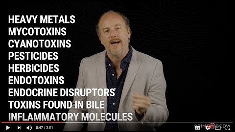 How to Detox and Reset Your Metabolic System to Optimize Your Health - Dr. Christopher Shade