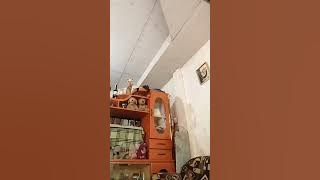 bigo live 2024 new | bigo | bigo live pk | periscope live new girl | bigo live 2024 periscope