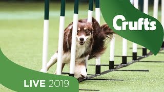 Crufts 2019 Day 4  Part 1 LIVE