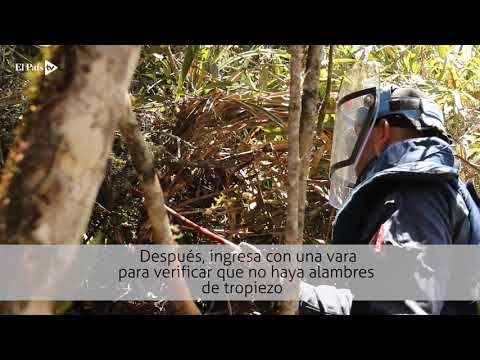 Así se libra la lucha para dejar al Valle libre de minas