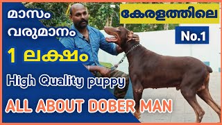 Guard dog Doberman/Malayalam/ വളർത്തുന്നവർ ശ്രദ്ധിക്കുക
