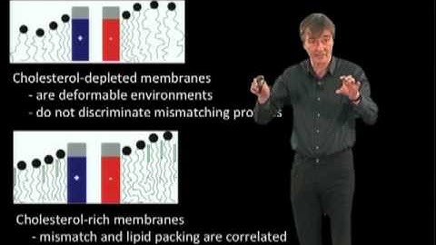Kai Simons (MPI) Part 1: The role of lipids in organizing the cellular traffic.