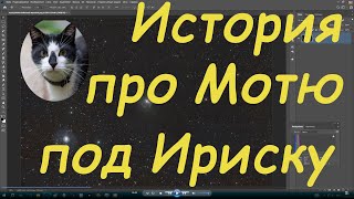 История о Моте под NGC 7023