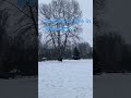 Vincenta || #warszawa #poland #winter #snow #celinedionsongs #shortvideo