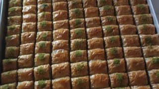 NISANIMIZDAN GELEN BAKLAVAAYHAN BALIK SEZONUNU ACTIBAGLARA TUZ KOYDUK