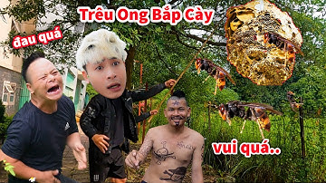 Hậu Cáo - Trêu Tổ Ong Bắp Cày Và Cái Kết Chạy Rẽ Đất
