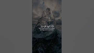 #ياسر_الدوسري #تلاوات #آيات #القرآن_الكريم #قرآن #تلاوة #قران_كريم #قران #القرآن #قرآن_كريم #quran
