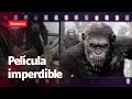 Estreno cine: el PLANETA DE LOS SIMIOS nuevo reino llegó a Colombia