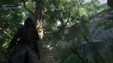 Path of Serenity Guide in Assassin