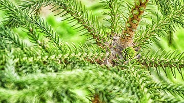 Thousand Blades Photoshop CC Tutorials 56 By Stopbox [Color Efex Pro4]