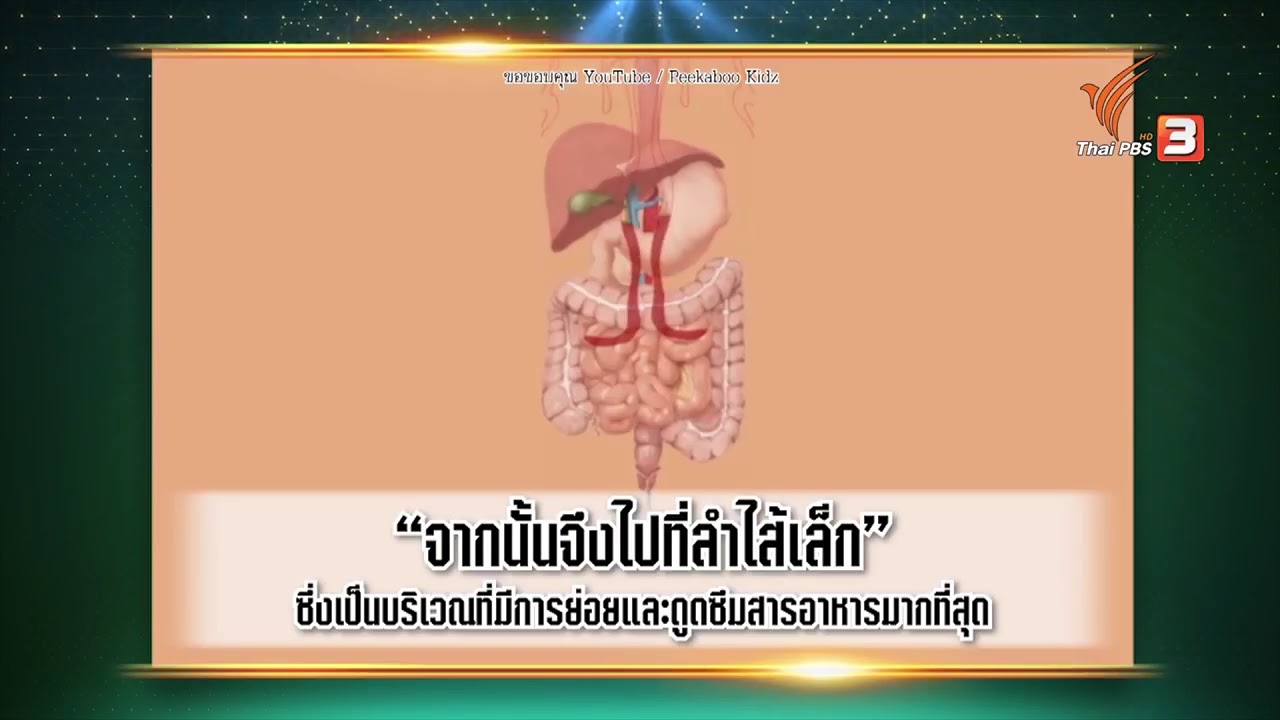 กระเพาะอาหารและลำไส้ | เนื้อหาที่เกี่ยวข้องกระเพาะ อาหาร มี หน้าที่ที่แม่นยำที่สุด