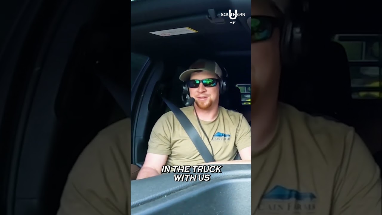 Key Tips for Affordable Wildlife Consulting Services