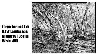 Large Format 4x5 B&W Landscape – Wista 45N – NIkkor 135mm lens – Fomapan 100 film – Meadowbank Park