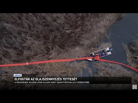 Videó: Ki a felelős az olajszennyezésekért?