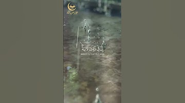 ﴿فَأَنجَيْنَاهُ وَمَن مَّعَهُ فِي الْفُلْكِ الْمَشْحُونِ﴾من سورة الشعراء، بصوت القارئ وليد الشمسان.