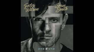 peter wilson - one and one