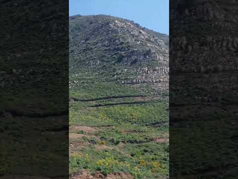 جمال طريق المدية الجزائر