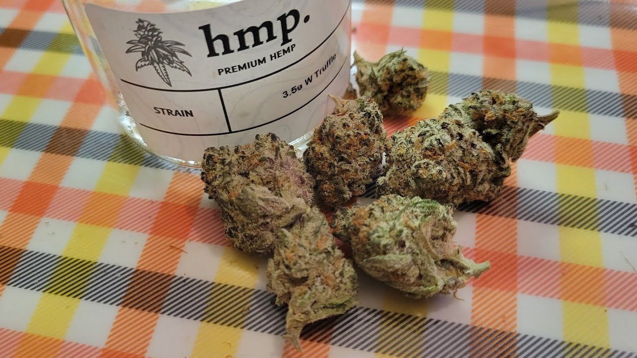 hmp THCA White Truffle strain review!! 💯🔥😋