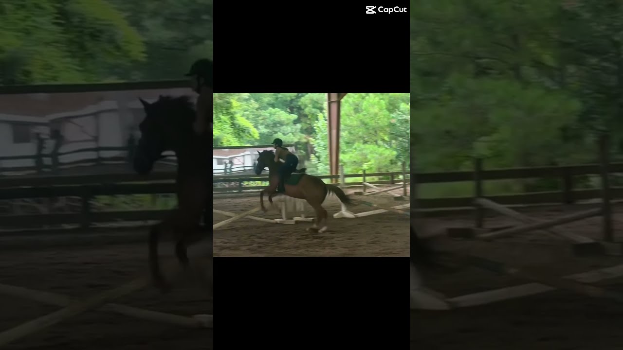 Went Over This Jump Again And He S Just Too Cute Horse Horseriding Love Viral Animals Iea