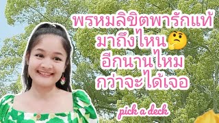 พรหมลิขิตพารักแท้มาถึงไหน🤔อีกนานไหมกว่าจะได้เจอ🌹pick a deck🍎My Soulmate🔮💍👩‍❤️‍💋‍👨💒🎊🦋🐢🌳💕