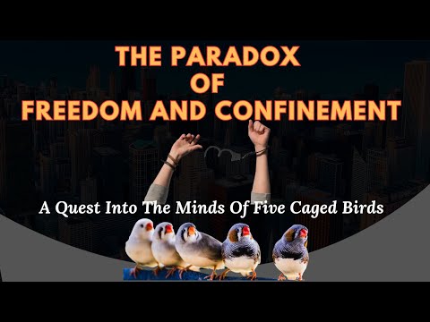 The Paradox Of