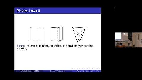 Boundary Plateau Laws