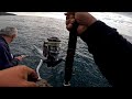 SHORE JIGGING AND SPINNING crazy fish