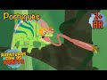 Aventuras em madagascar  temporada 3 episdios completos aventuras com os kratts