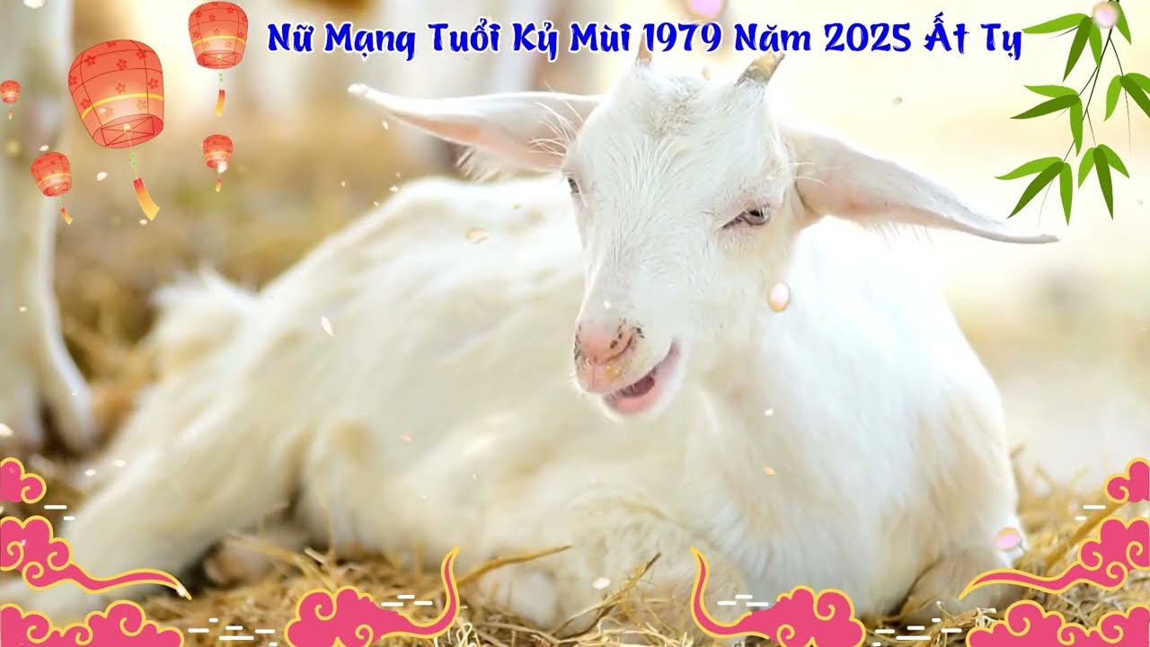 Tử vi tuổi kỷ mùi năm 2024 nam mạng - Dự báo và phân tích chi tiết