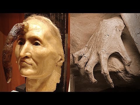 Video: Kako Posjetiti Muzej Korova Korova U Kaliforniji