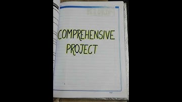 Class 11 | CBSE | Accountancy Project | Financial Statements, Journal, Ledger, b/s, Trading ,P&L a/c