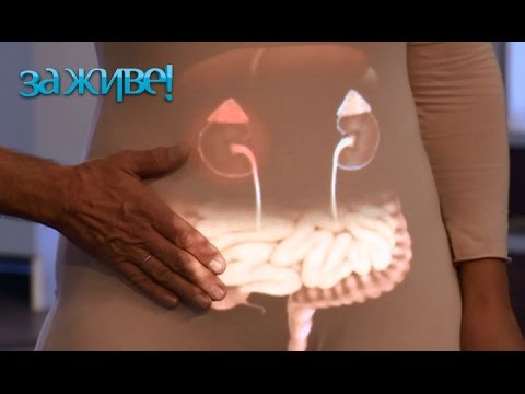 Видео: Симптоми на апендицит при възрастни и деца, при жени и мъже