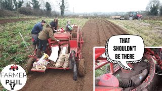 DIGGING THE SPUDS IN TIME FOR CHRISTMAS DINNER | MF 35 & 711 POTATO HARVESTER