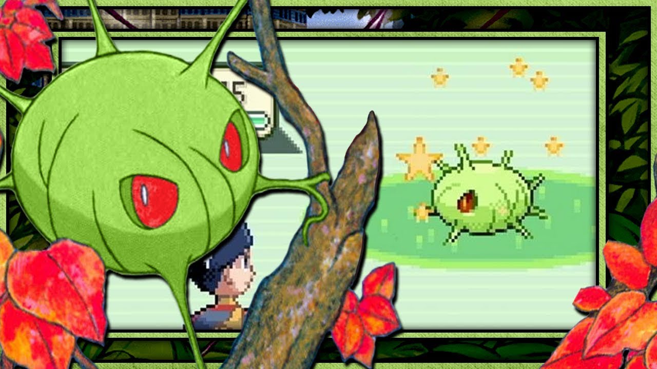 Live Shiny Cascoon on Ruby after only 19,528 REs (Phase 1)