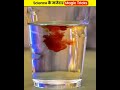 New science magic trick aftab experiment