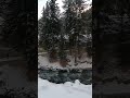 A snowy evening with the soothing sound of stream in Naltar #travel #naltarvalley