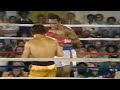 WOW!! WHAT A FIGHT - Sugar Ray Leonard vs Adolfo Viruet, Full HD Highlights