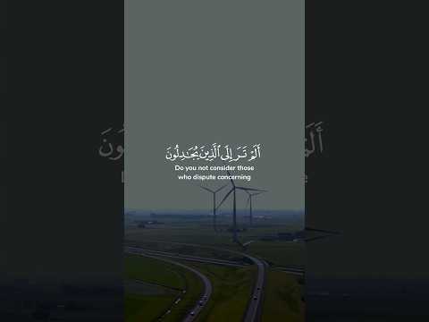 ألم تر إلى الذين يجادلون في آيات الله أنى يصرفون الذين كذبوا بالكتاب وبما أرسلنا مشاري العفاسي