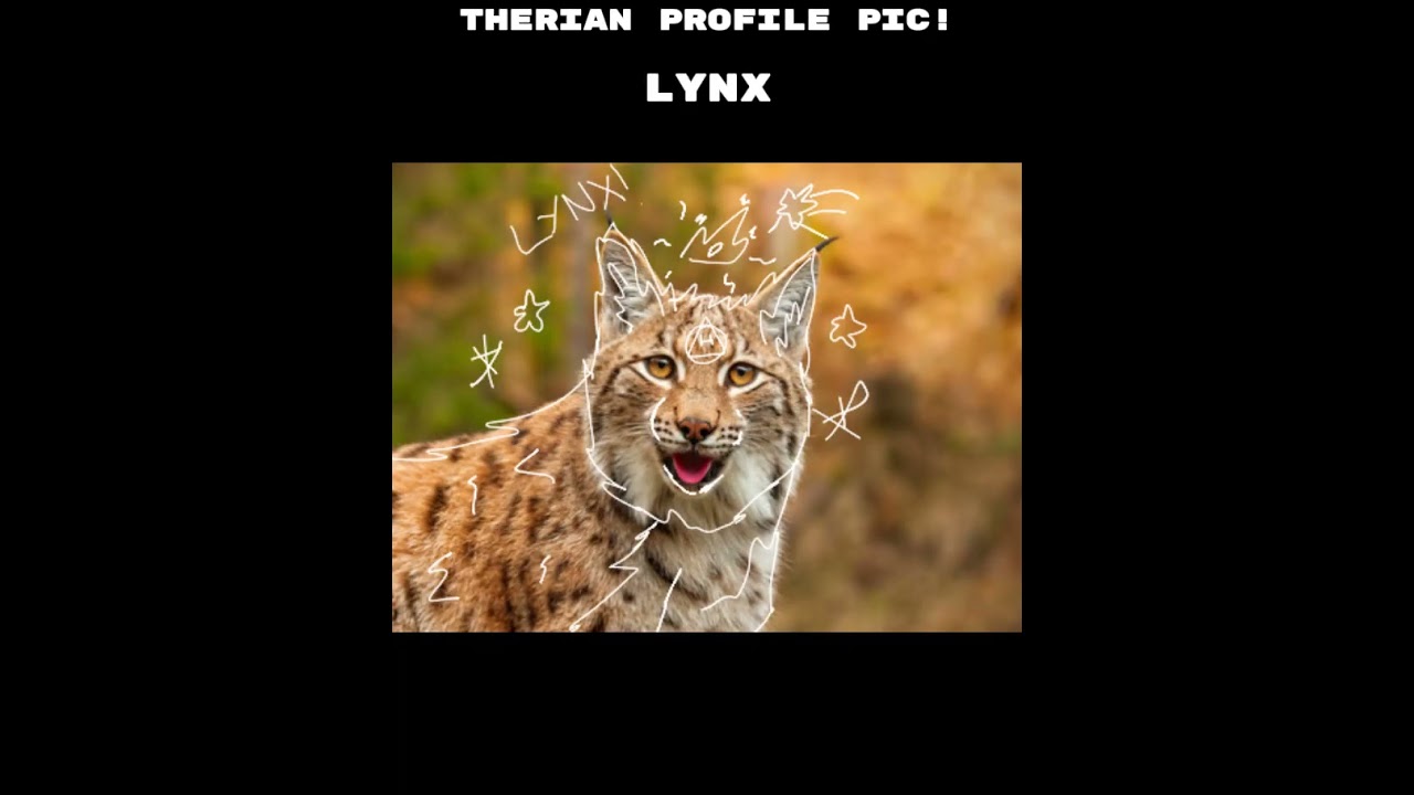 Lynx therian tips! 🐾, #therian #theriantiktok🐾 #theriantiktok #ther, therian