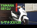 YAMAHA SE12J シグナスX125 参考動画