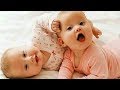 Cutest Twins Compilation 2019 🍬🍬 NOTHING will make you LAUGH SO HARD