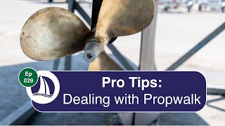 Ep 29: Pro Tips: Dealing with Propwalk