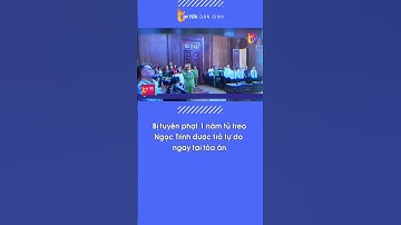 Ngọc Trinh bị tuyên án 1 năm tù treo| Tin Tức Dân Sinh| #shorts