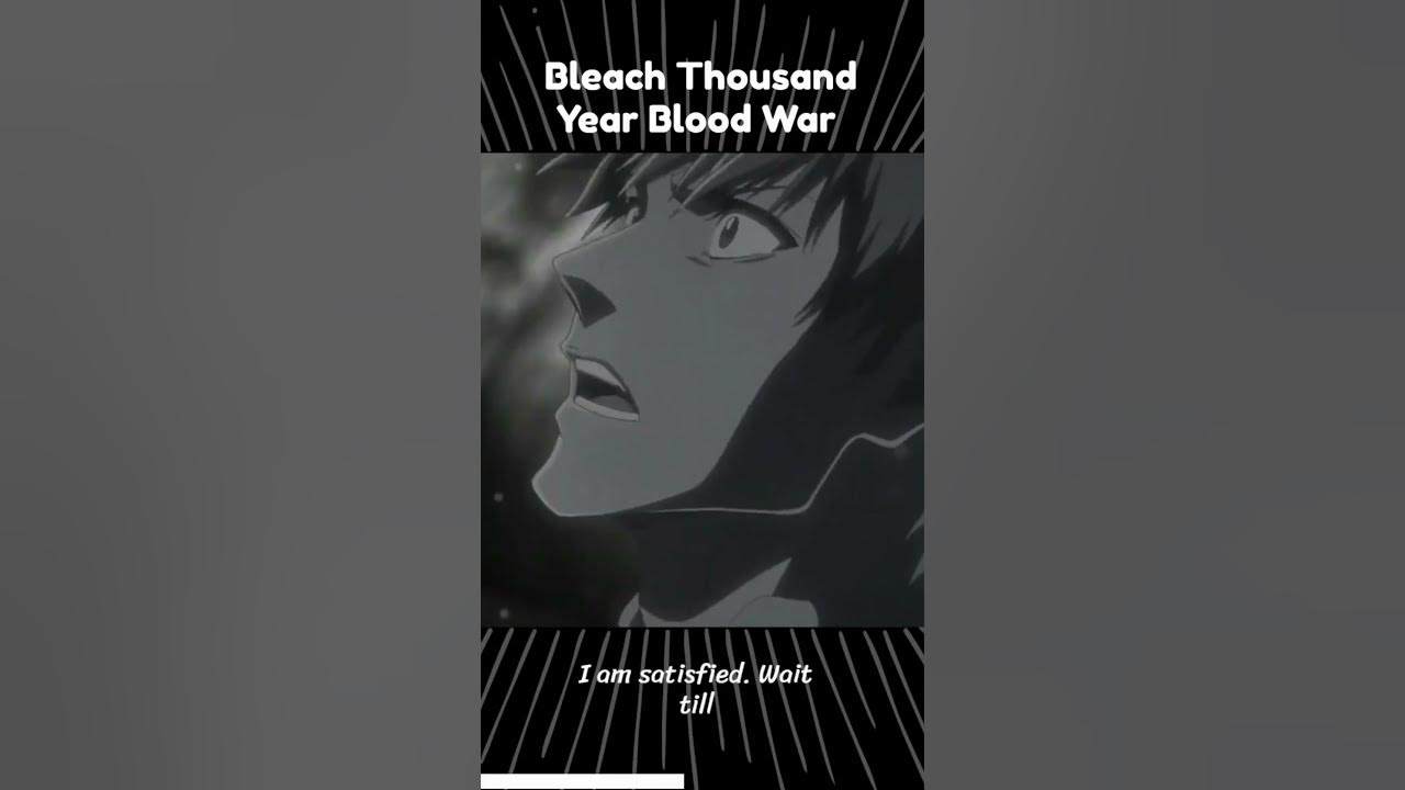 Anime Series Ichigo's Truce With Songko 7 Bleach Thousand Year