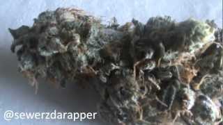 Todays Weed - LA Woman