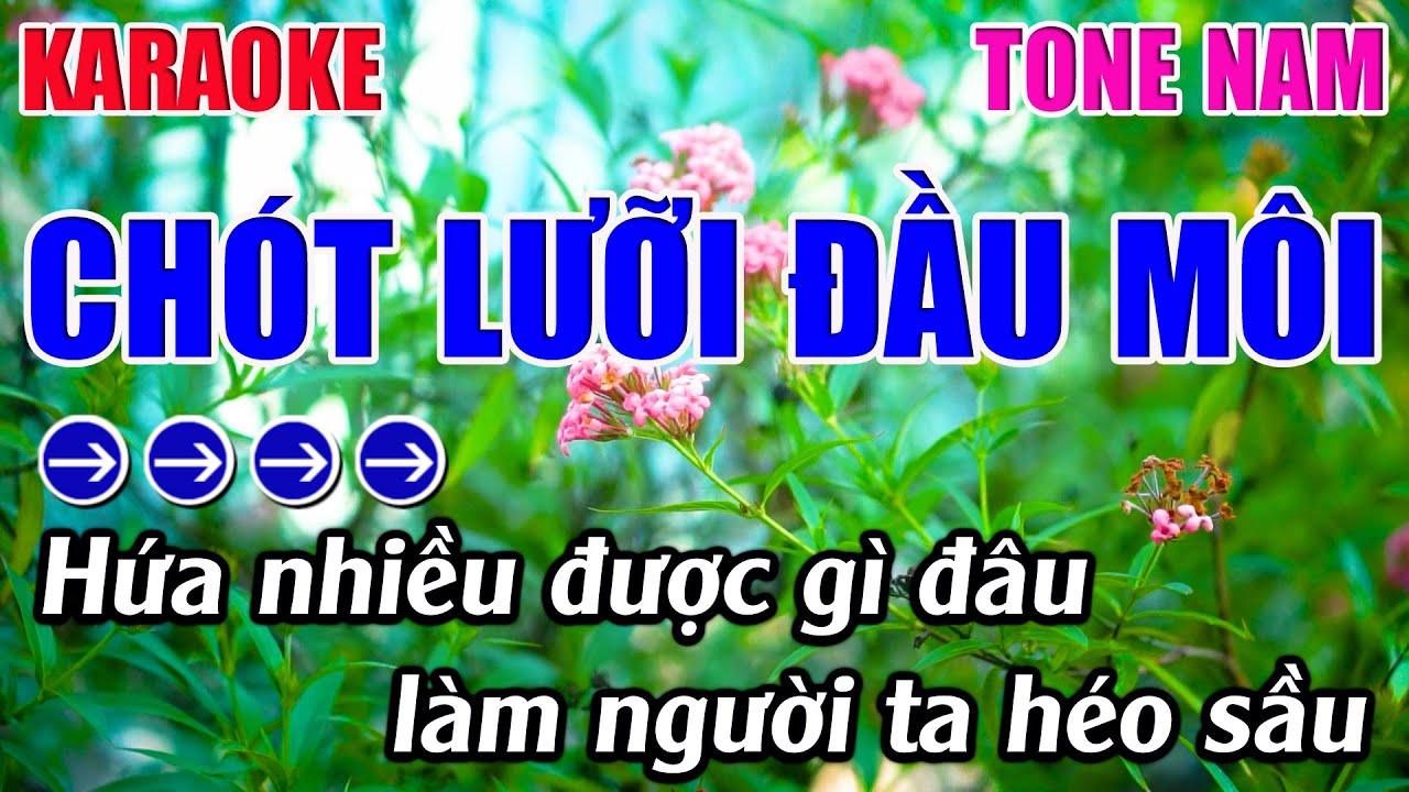 Chót Lưỡi Đầu Môi Karaoke Tone Nam Karaoke 9999 - Beat Mới