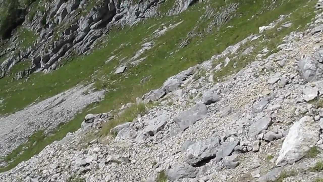 Fochsenflue + Combiflue