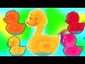 Cinco patitos | Compilación para niños | Populares la poesía infantil | Five Little Ducks