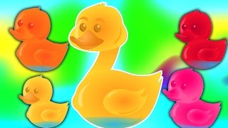 Cinco patitos | Compilación para niños | Populares la poesía infantil | Five Little Ducks