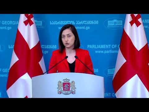 ნინო გოგუაძის ბრიფინგი